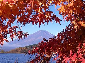 山中湖と紅葉