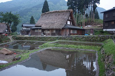 水田に映る逆さ合掌