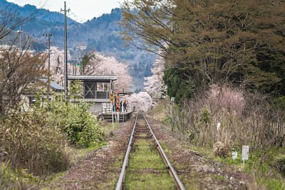 島式ホーム