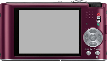 LUMIX FX60�w��