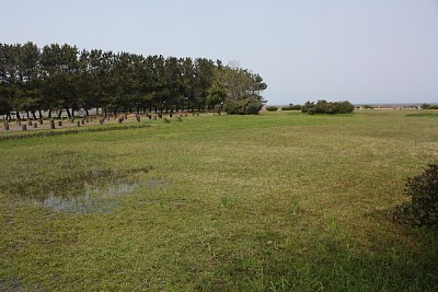 河川跡の中央付近