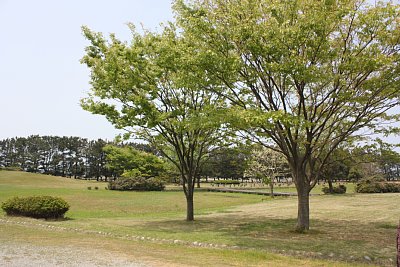 河川跡