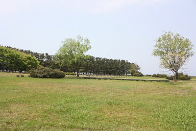 河川跡はかなりの広さです