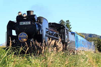 蒸気機関車C58 239