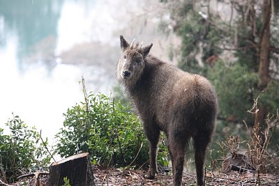 土塁のうえでポーズを取る