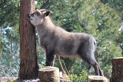 マーキングしているのです