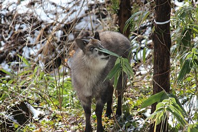 今日はやけにマーキングしていますね