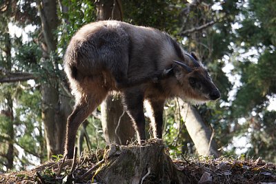 やっぱり痒いのでしょうか