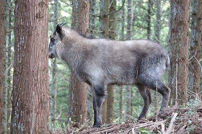 かなり接近しているので逃げるつもりか