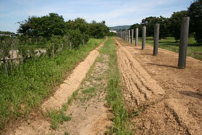 北側の溝跡及び塀跡