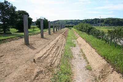 北門の塀跡と溝跡