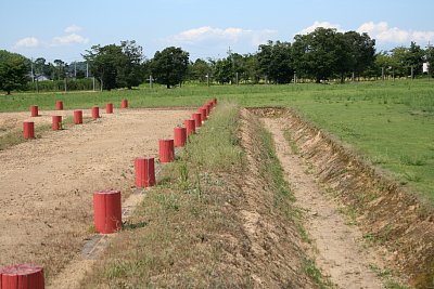 北側の回廊跡と溝跡