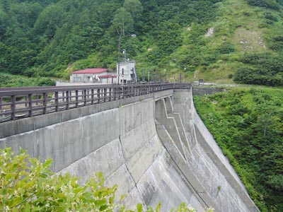 �E�݂����̉�����������