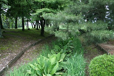 水路跡が多数巡らされています