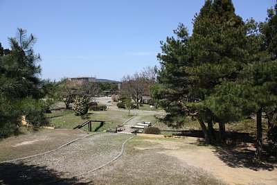 東側から見た高瀬遺跡全景