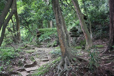 庭園はかなりの勾配になっています