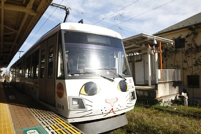 308電車