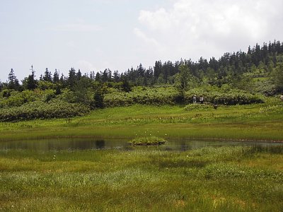 浮島池