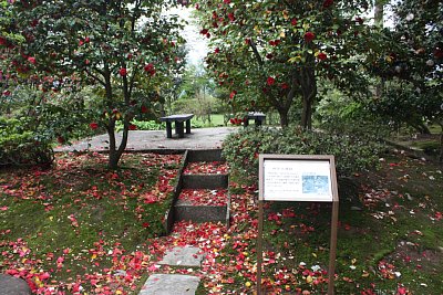 柳原文庫跡