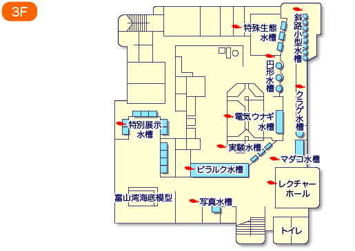 【水槽の紹介】3F