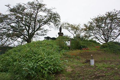 山本城全景