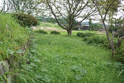 石垣の周りの平坦地