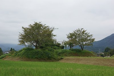 全景を見ると土塁の高さは相当のものです