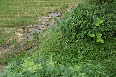 虎口のような地形だが