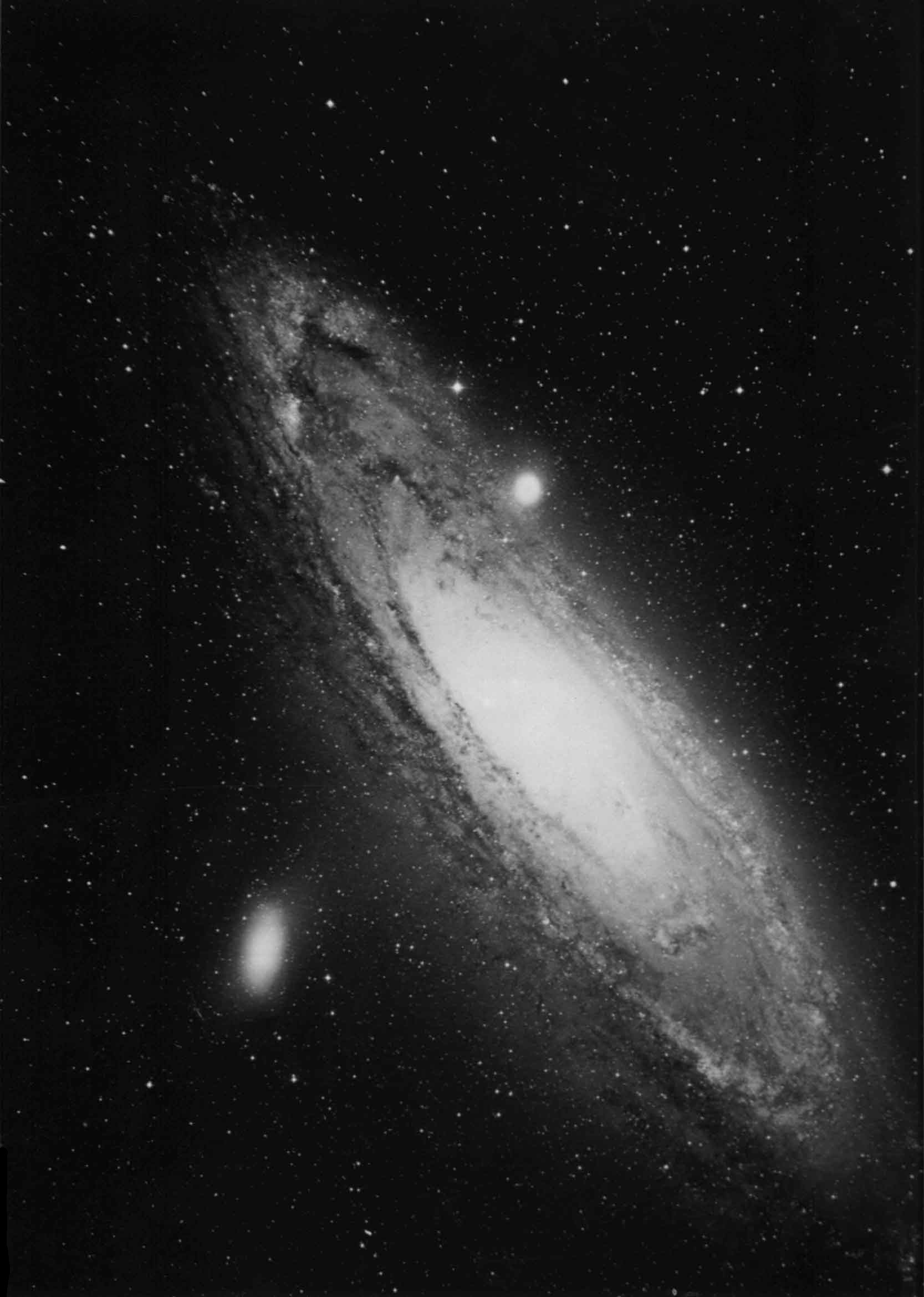 Ｍ３１アンドロメダ大星雲